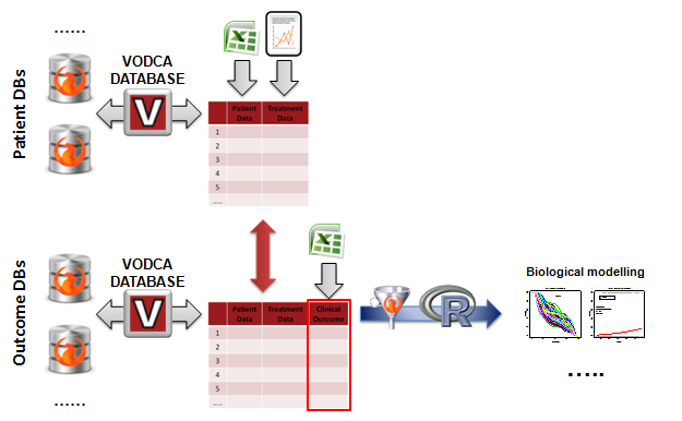 VODCA workflow